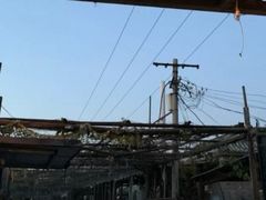 -亲兄弟真人CS团建拓展基地