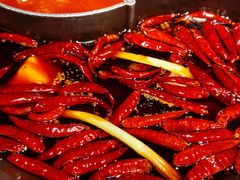 老炮红锅-川西坝子(老军营店)