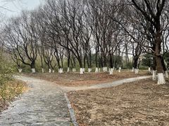 -七桥瓮公园