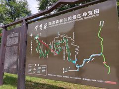 -牛背梁国家森林公园