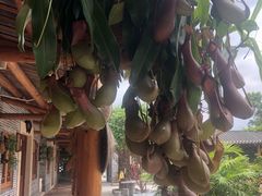 -顺德了能馆(虎门店)