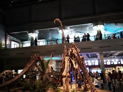 -自贡恐龙博物馆