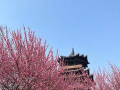 -杭州半山国家森林公园