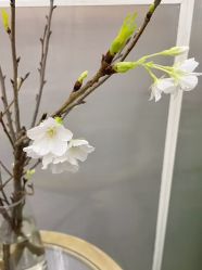 -Face Score美甲美睫皮肤管理