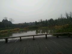 -白鹭湾湿地公园