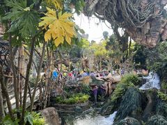 -奥兰多迪士尼动物王国乐园