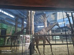 -鄂尔多斯野生动物园