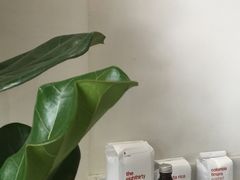 -常识咖啡common sense(春熙路店)