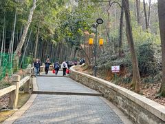 -灵岩山风景区