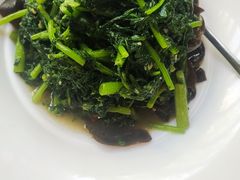 -煎饼卷大葱·非遗传承·潍坊菜(十笏园店)