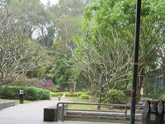 -南宁荔园维景国际酒店·荔园中餐厅