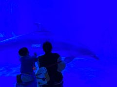 -多彩贵州城极地海洋世界