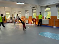-武术世家少儿培训中心(首都体育学院店)