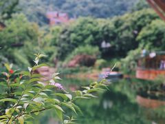 -杭州开元森泊度假乐园