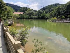 -广州市帽峰山景区