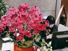 -无锡鼎尚皇冠酒店