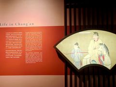 -九龙公园