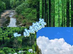 -阿露佳·舌尖上的安吉菜