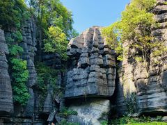 -梭布垭石林景区