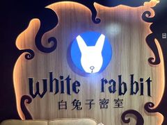 -白兔子密室(长寿路店)