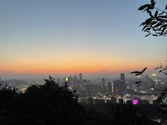 -南山植物园