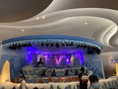 -帝企鹅自助餐厅•儿童岛•真企鹅(长隆企鹅酒店)