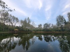 -溱湖国家湿地公园