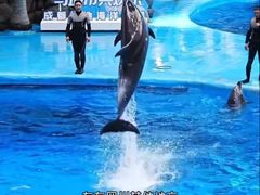-海合安成都极地海洋公园
