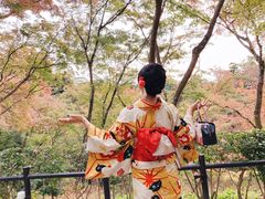 -有栖山 清光院 清水寺