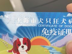 -申普宠物医院·心脏介入·心血管微创(总院)