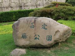 -嘉定紫藤园