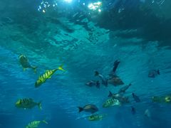 -福州罗源湾海洋世界旅游区