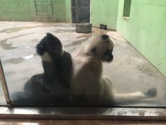 -石家庄市动物园