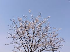-泉城广场