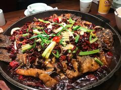 -老板恋上鱼(荣盛广场店)