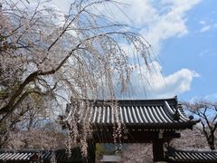 -醍醐寺