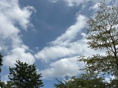 -纪念孙中山市政公园