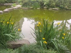 -新湖明珠城