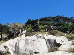 -泰山风景名胜区