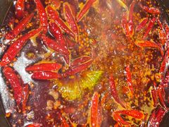 -蜀大侠火锅(总府路店)