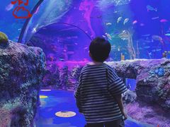 -沈阳海洋探索中心