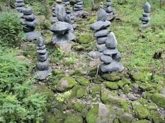 -茅兰沟国家森林公园