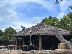 -上海野生动物园