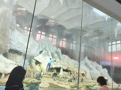 -帝企鹅自助餐厅•儿童岛•真企鹅(长隆企鹅酒店)