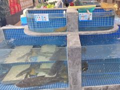 -骏莱海鲜鱼港(五角场店)