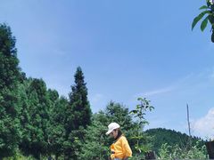 -武陵山森林公园