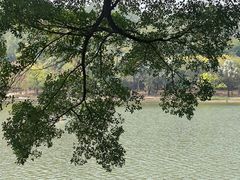 -南国桃园旅游度假区