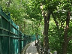 -紫金山天文台