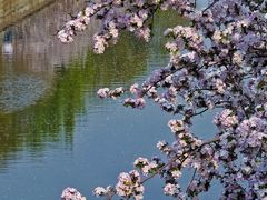 -海棠花溪(元大都城垣遗址公园)