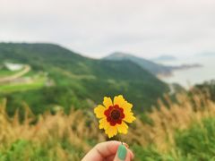-温岭石塘海边